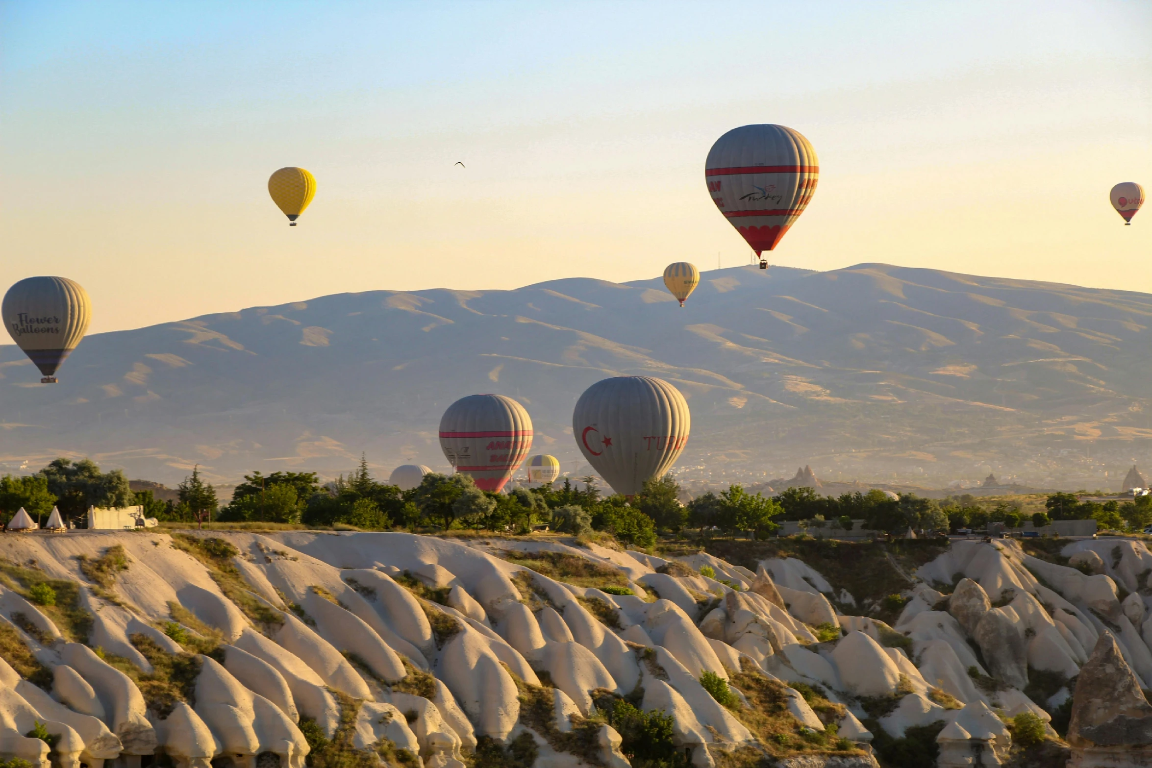 several  air balloons are flying over a large mountain range