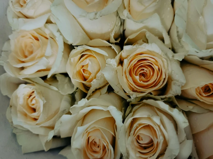 an arrangement of flowers of white color roses