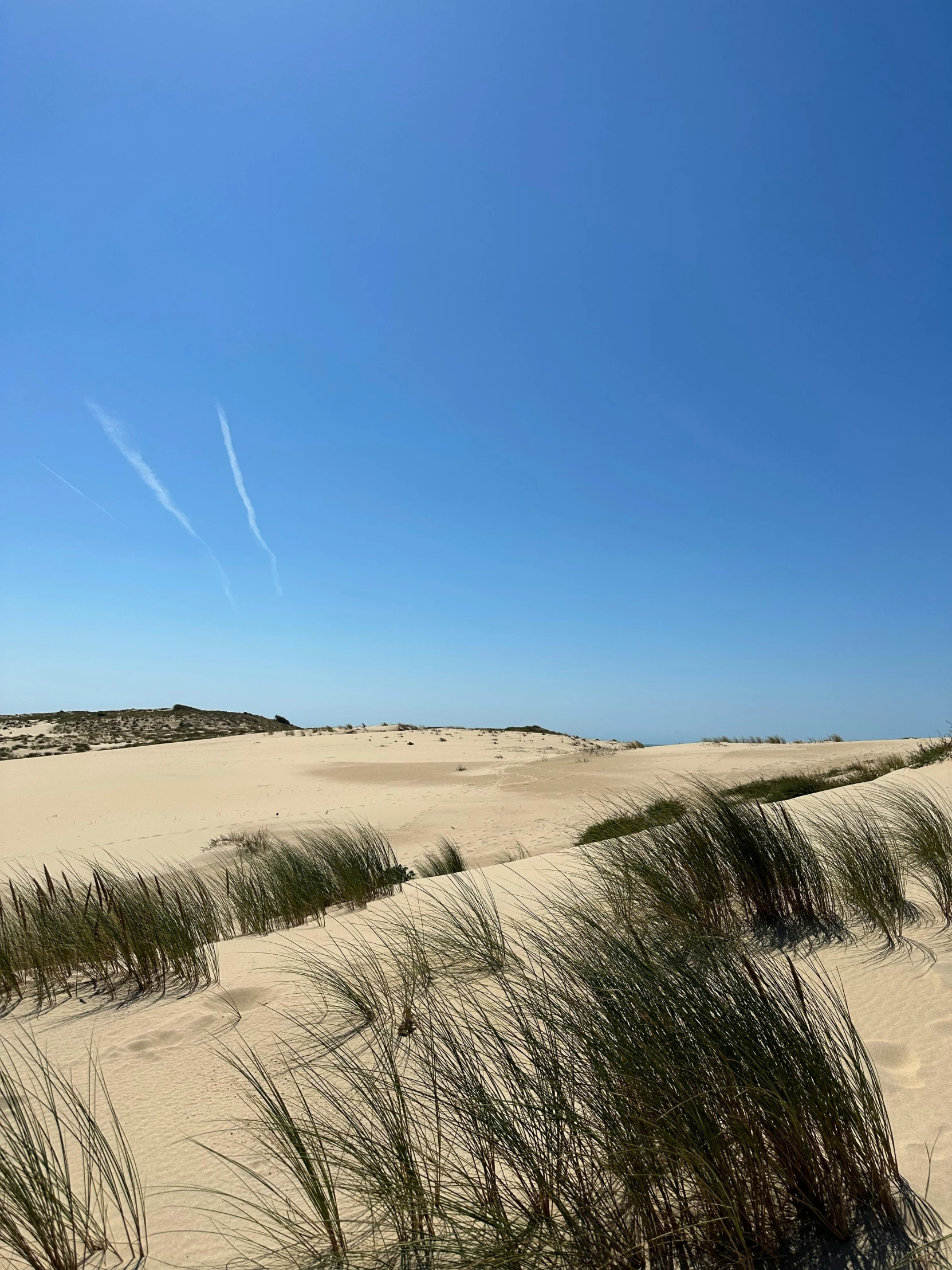 there is a sand dune and ocean in the background