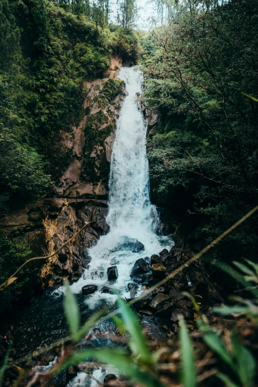 a river running through the forest side by itself