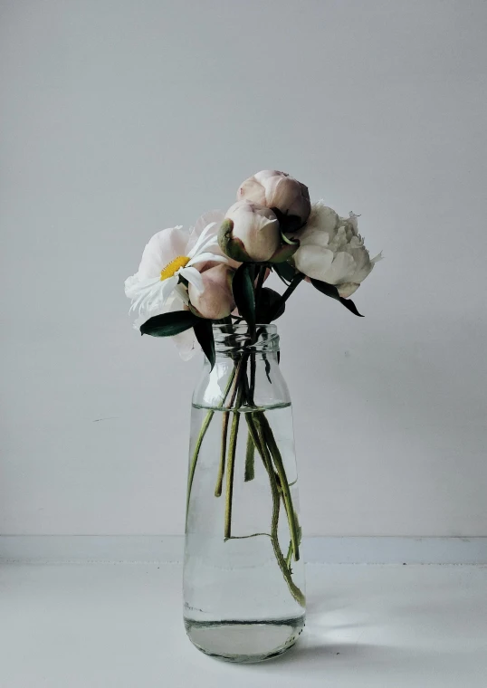 the vase contains white flowers on a plain table