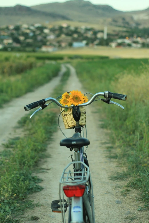 a bicycle is parked next to a dirt road