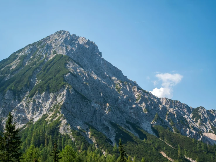 some trees and a mountain that is covered with rocks