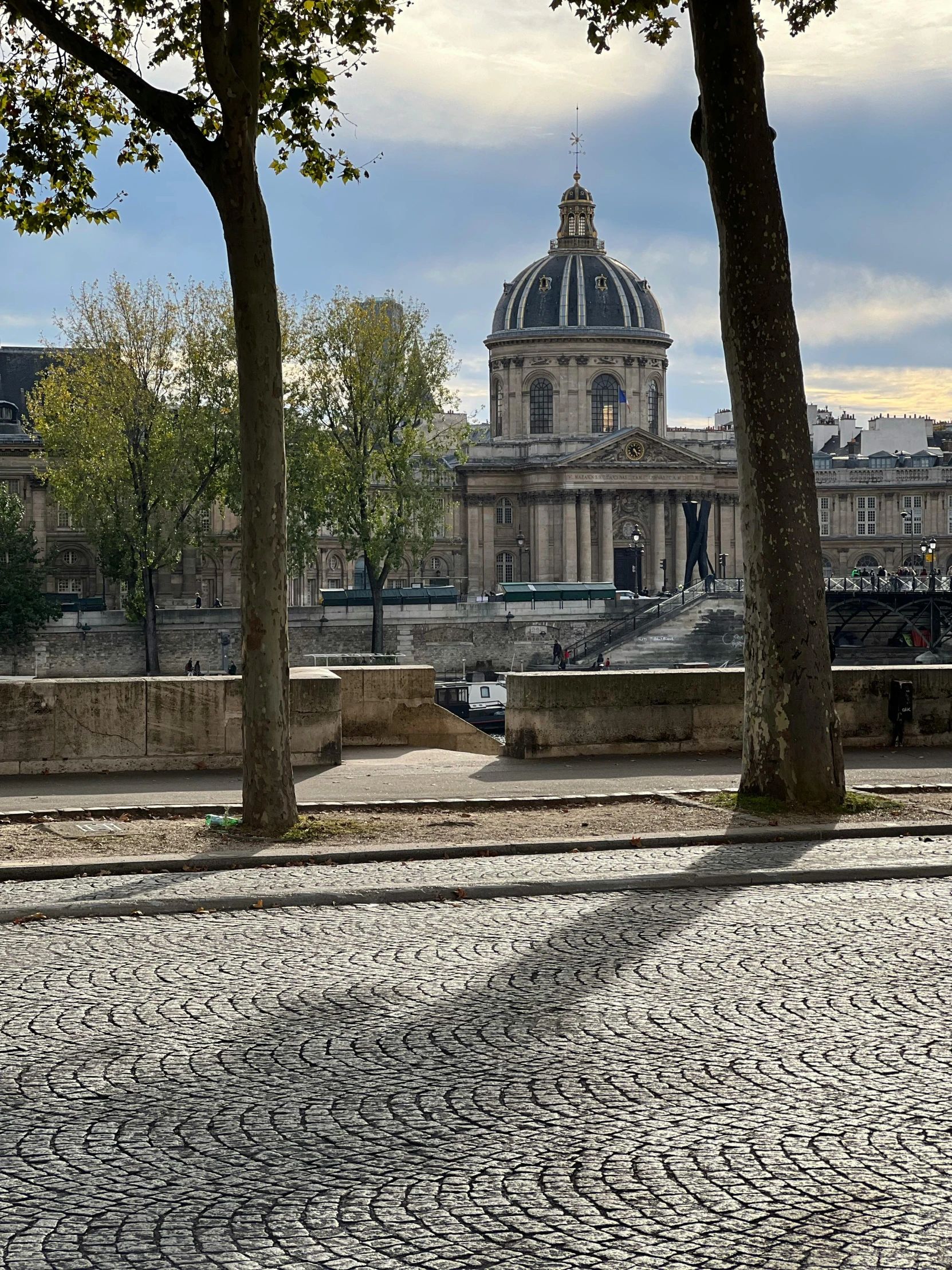 there are trees and benches in the city