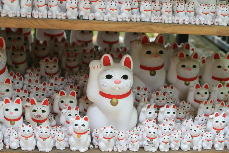 a bunch of white cat toys are sitting in the middle of the shelves