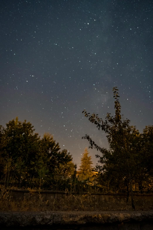 the night sky is lit by stars and trees