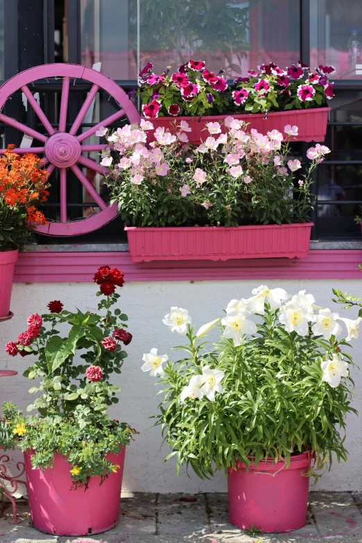 a row of flower pots with some flowers in them