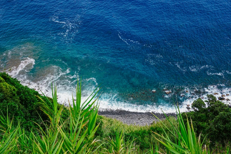 a po looking down on a beach with waves crashing into the shore