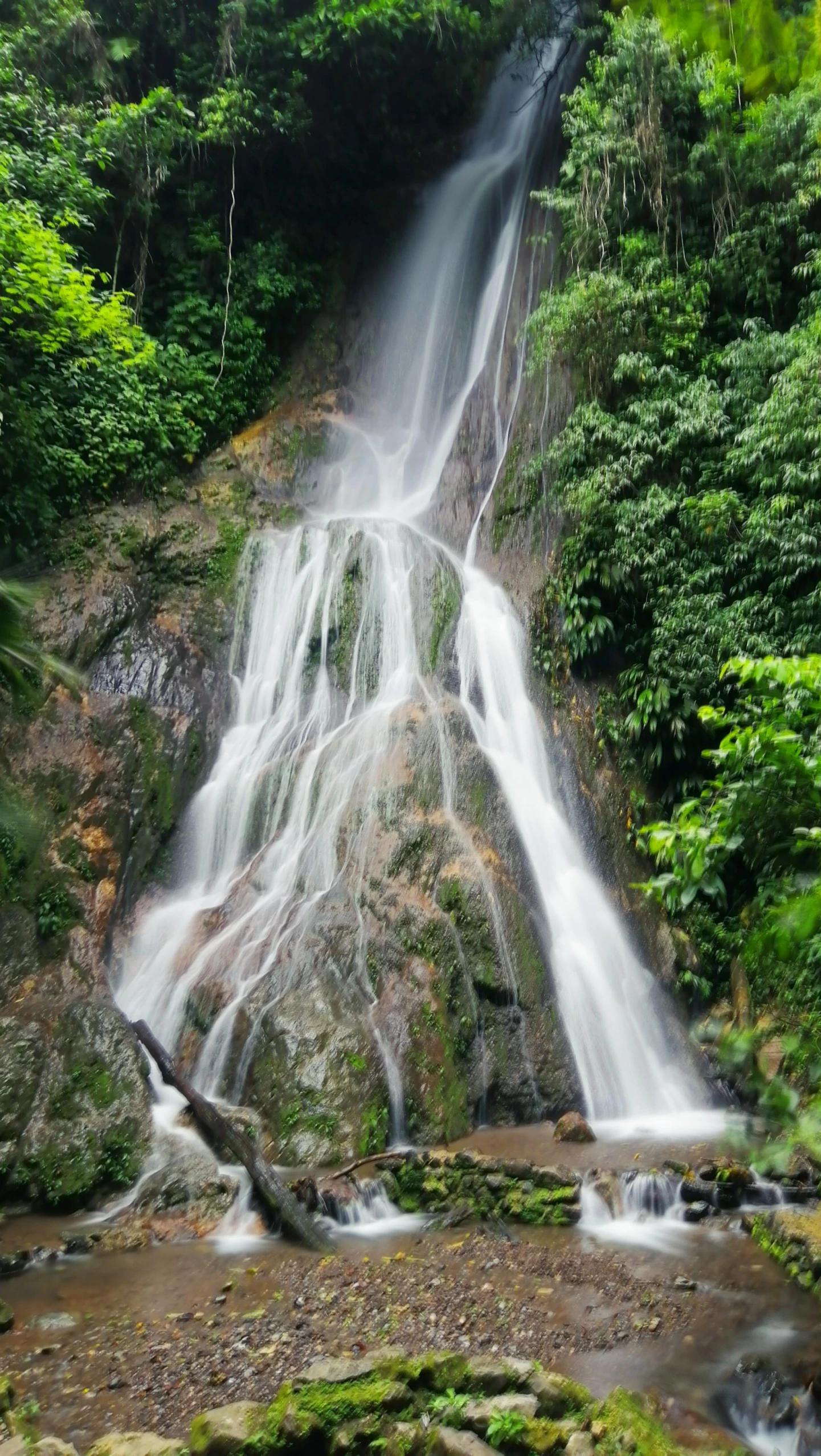 a small waterfall in the forest near some green trees