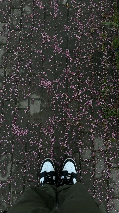 the bottom view of someone's shoes on a walkway