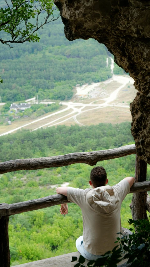 a person overlooking a valley near trees and grass