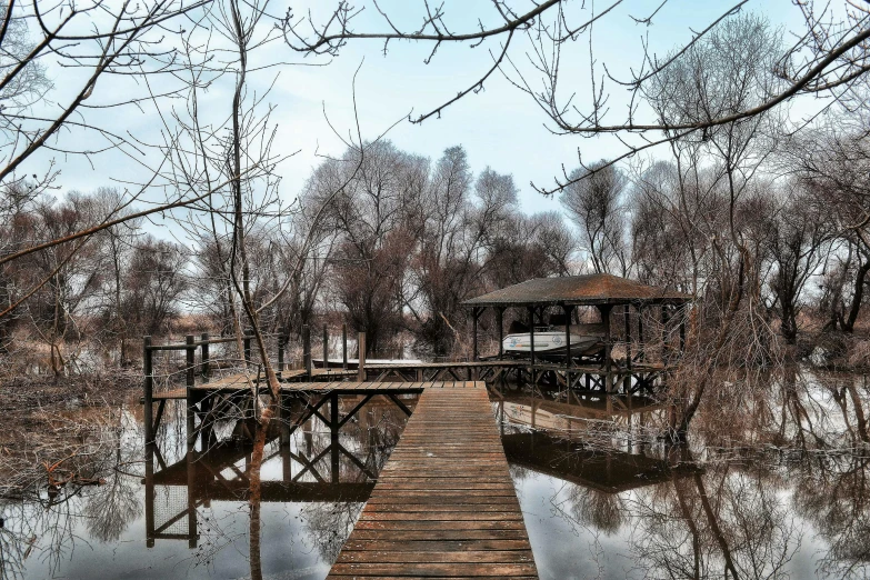 dock in a park in winter on a cloudy day