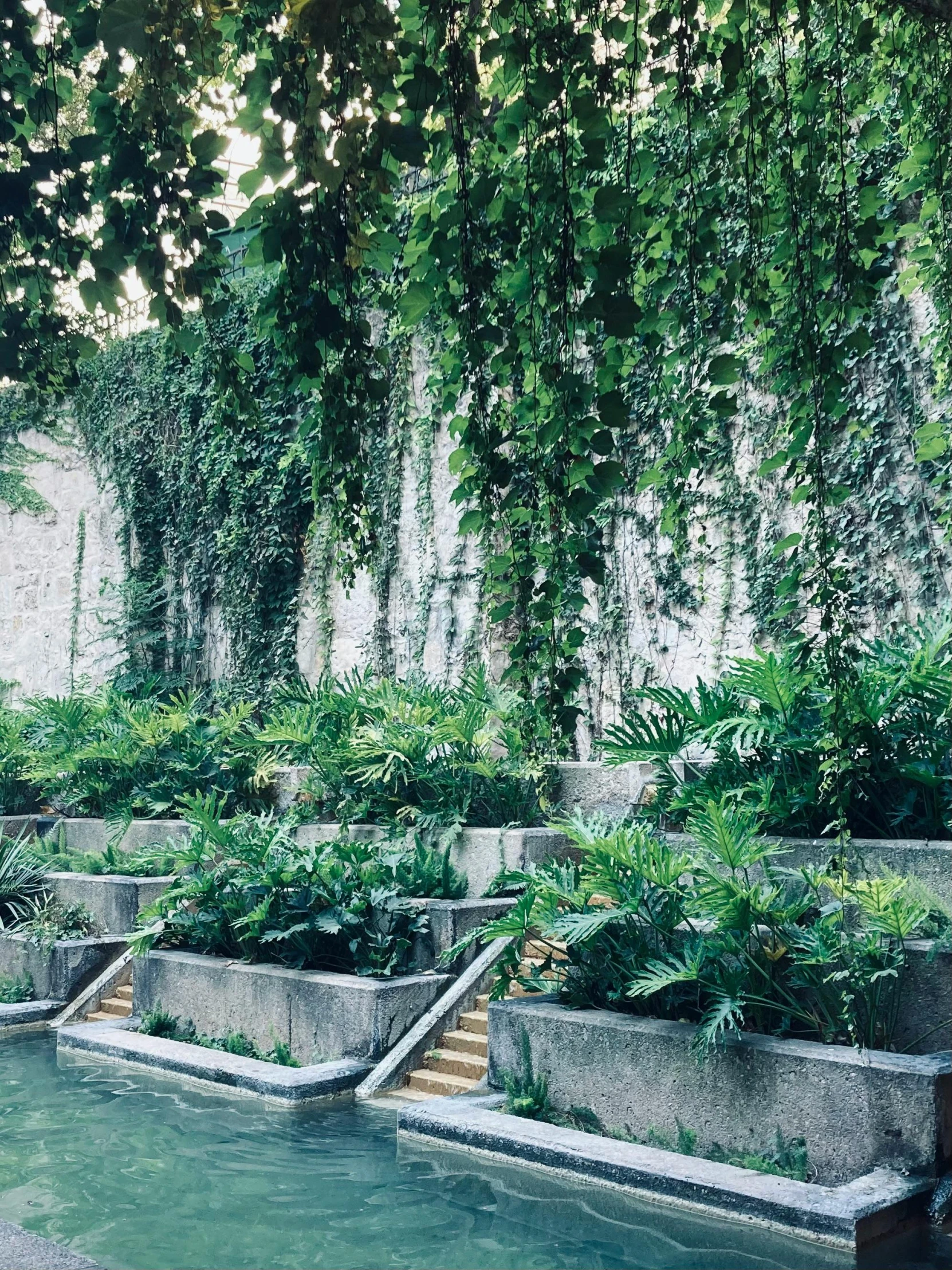 some planters near some water under trees