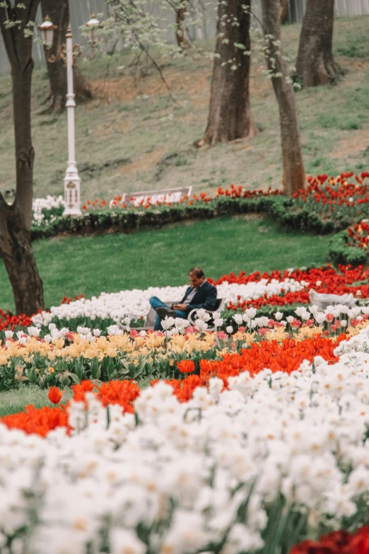 people sitting on benches amongst a field with white and orange flowers