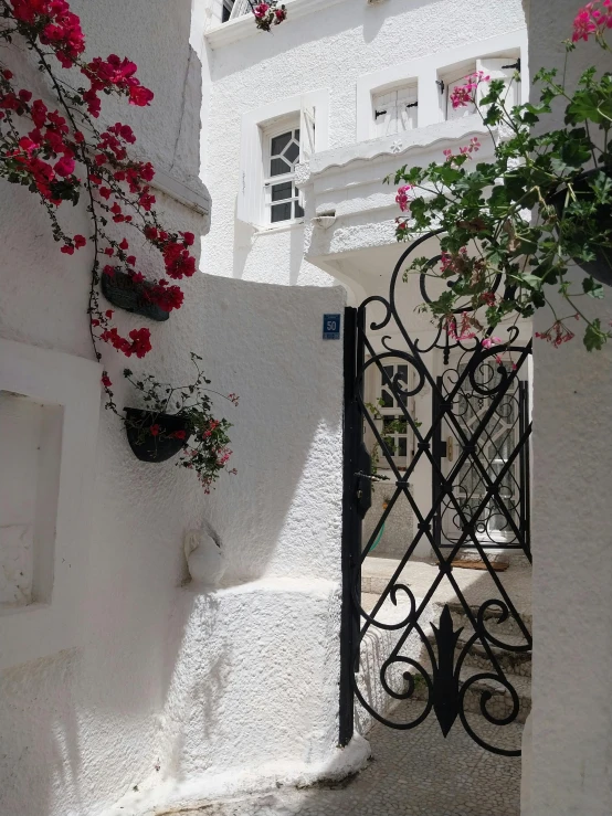 a gate and some white wall with red flowers