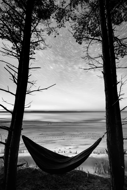 a hammock sitting in a grove near the water