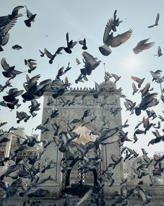 birds fly over an elaborate entrance to a building