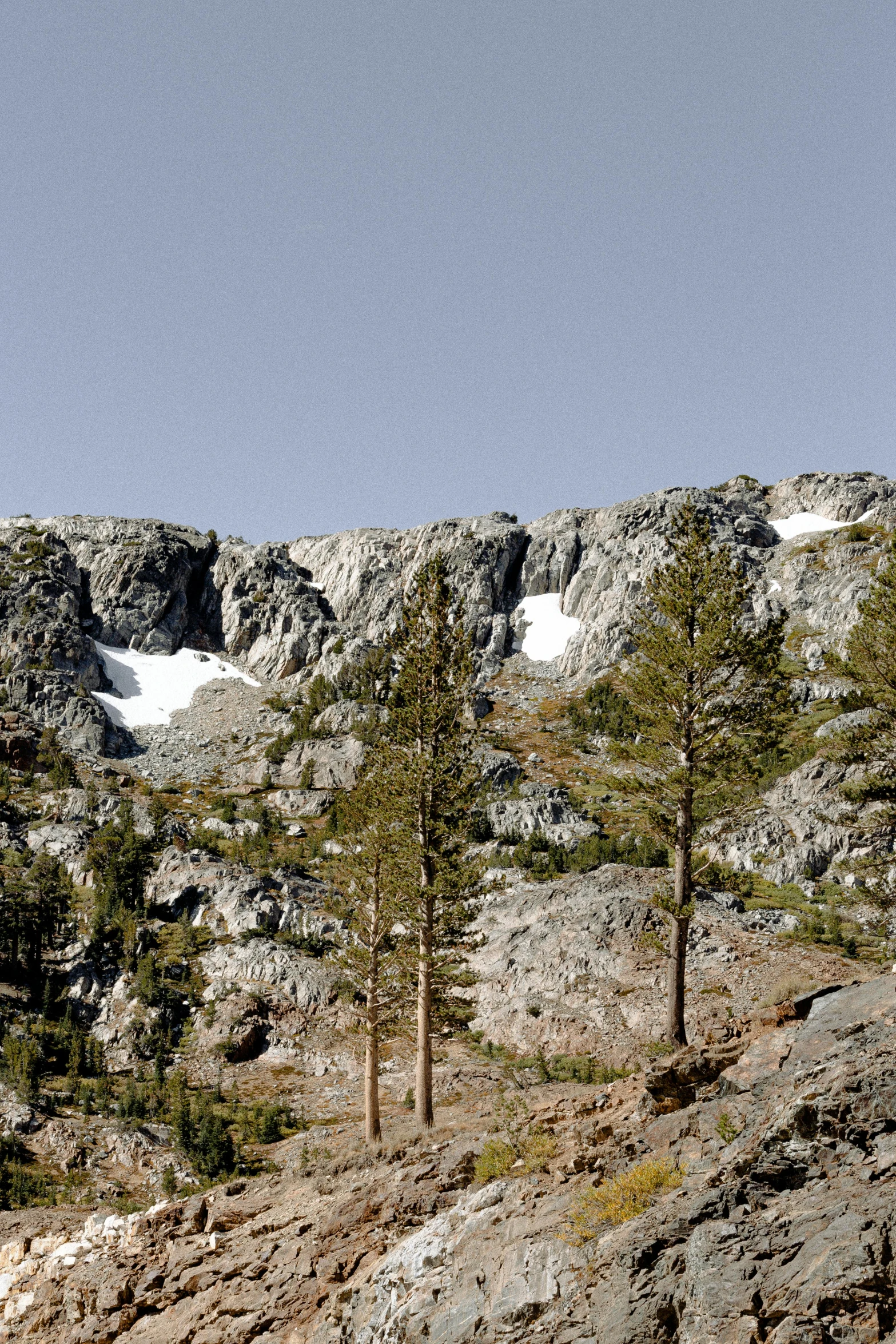 trees and rocky hillside with clear blue sky in the background