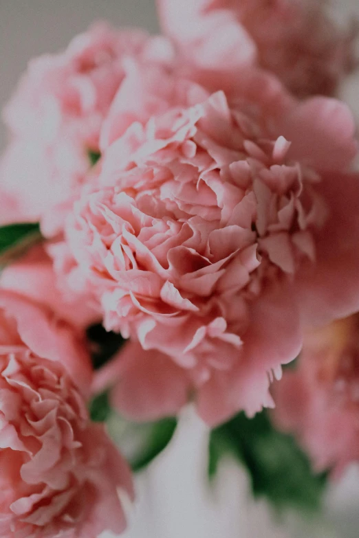 pink flowers are in a glass vase on a table