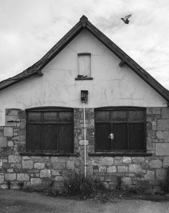 a black and white po of a bird flying in front of a building