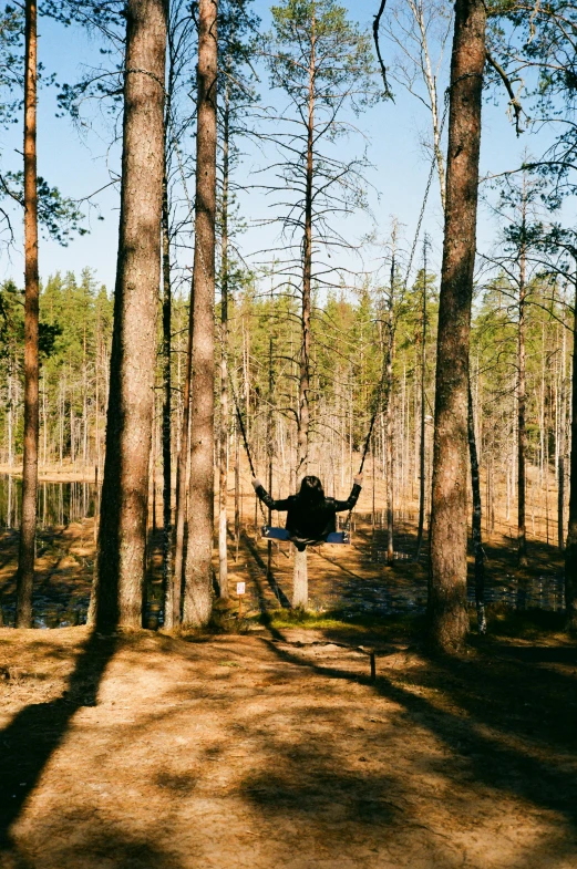 two people sitting in hammocks in the woods