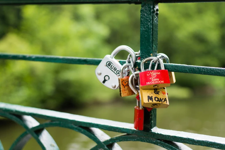 several locks on a green bridge with trees in the background
