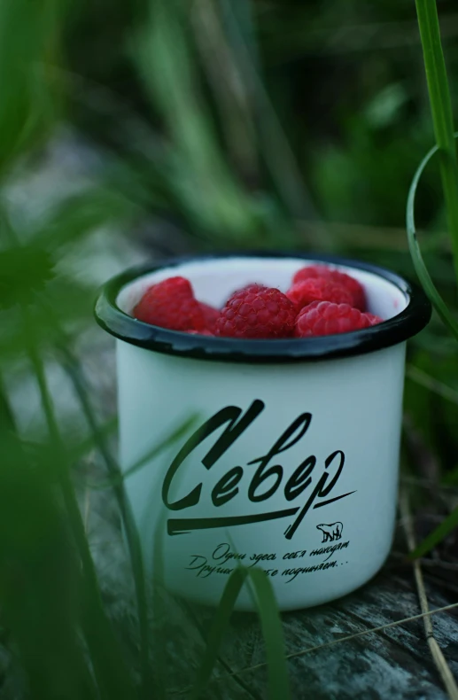 raspberries in a small bowl sitting on the ground