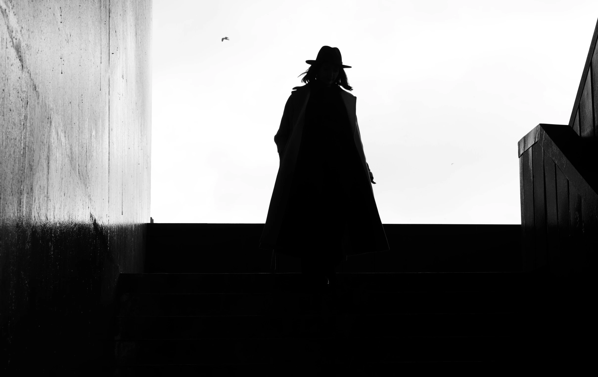 black and white silhouette of a woman with long coat and top hat walking up stairs