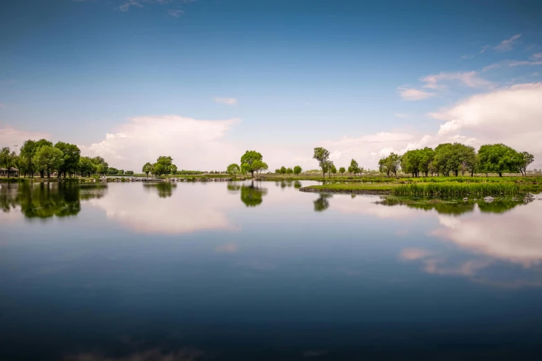 a body of water with trees in the background