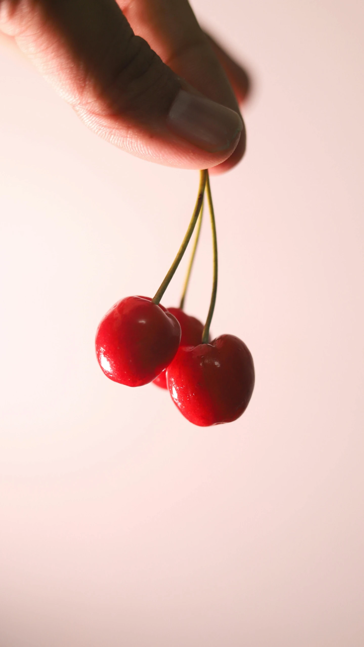 person holding onto a cherry with a bite taken out of it