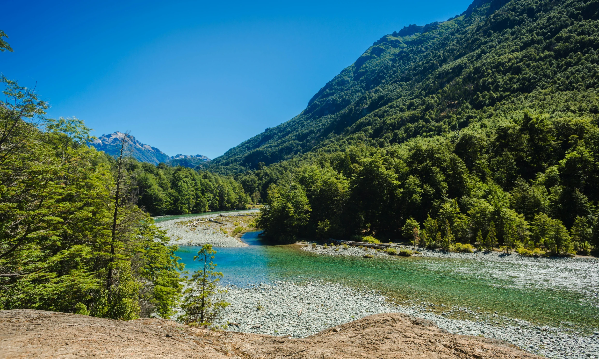 a mountain river flowing between trees in a lush green valley