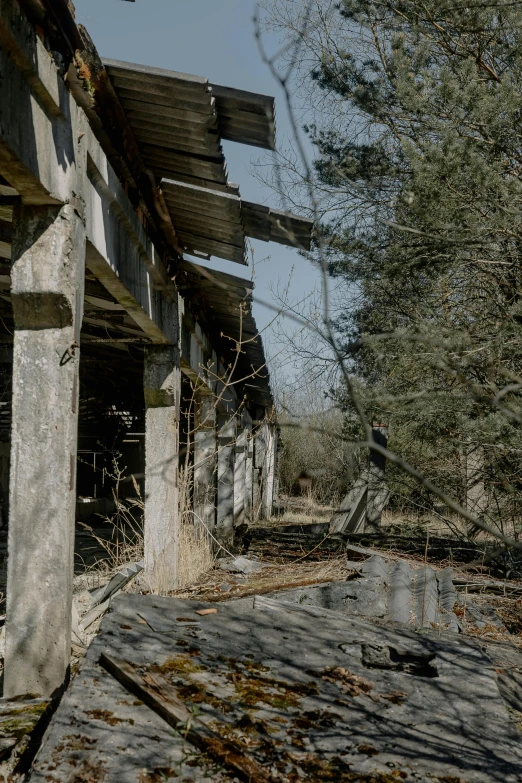 there is an old abandoned building and trees