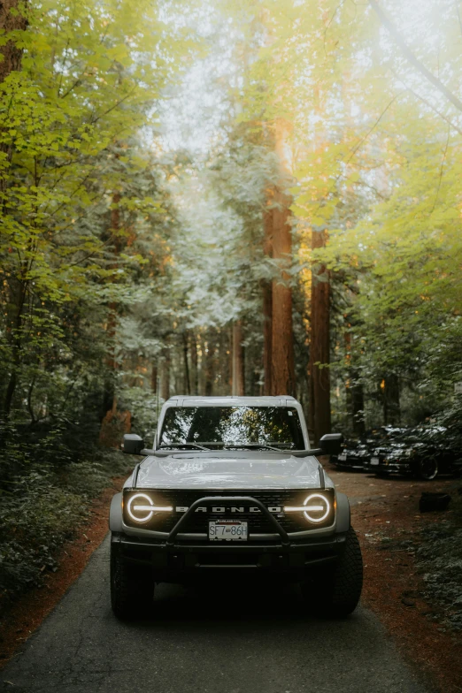 a pickup truck driving down a wooded road