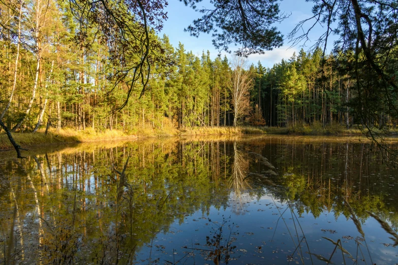 a pond that has a wooden platform on it