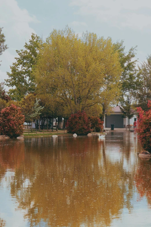 a house that is by some water on it