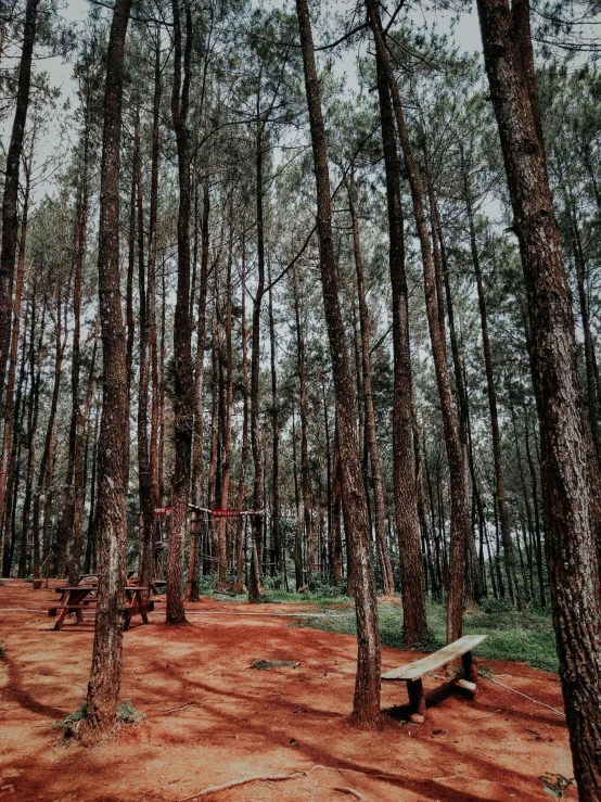 there is a small picnic table in the woods