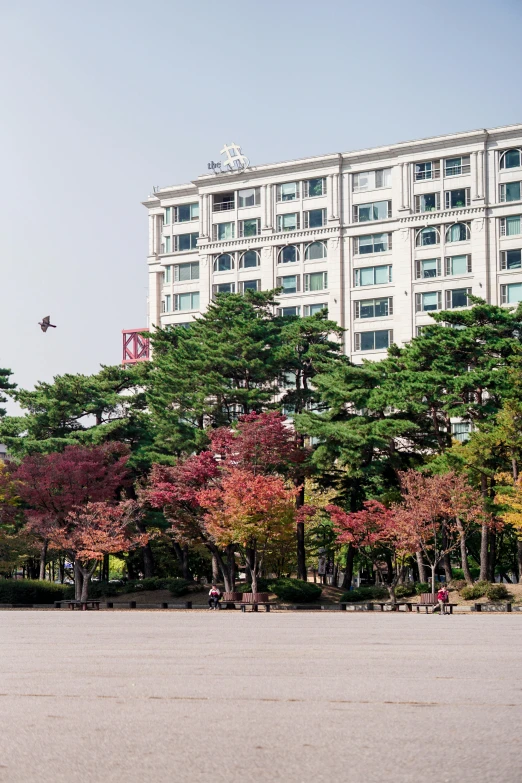 two people sitting on a bench in front of some trees