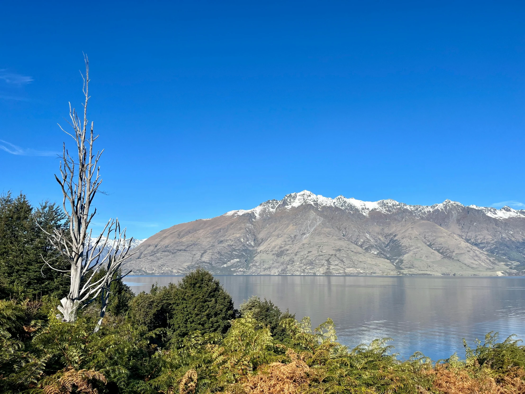 a landscape of a lake and snow capped mountains