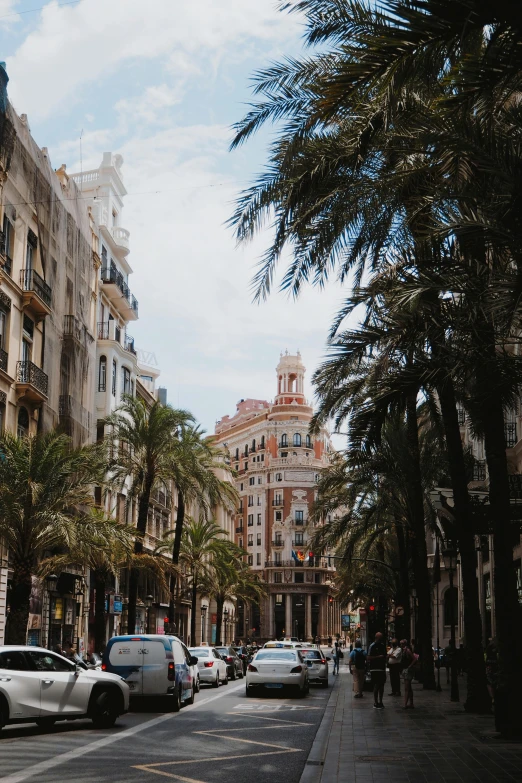 a view of palm trees in the middle of the street