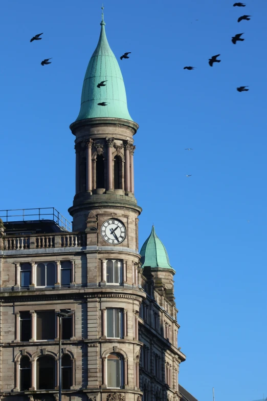 the clock tower has birds flying below it