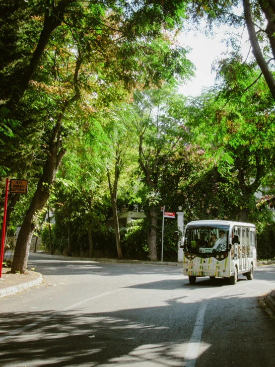 the bus is driving down the street in the daytime