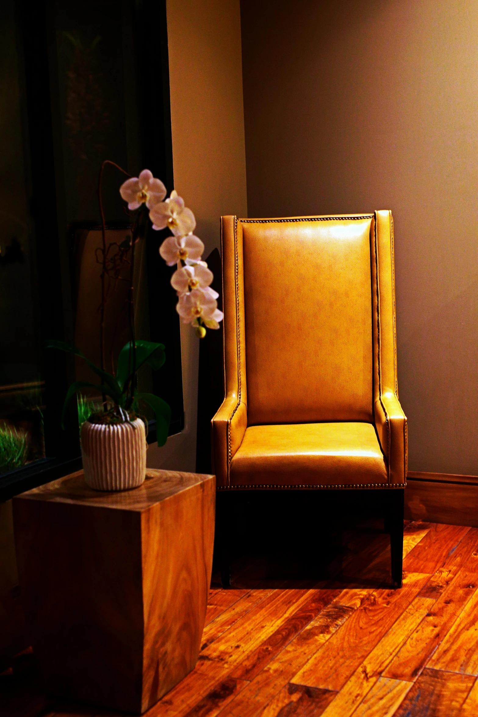 a room with two chairs and a potted plant
