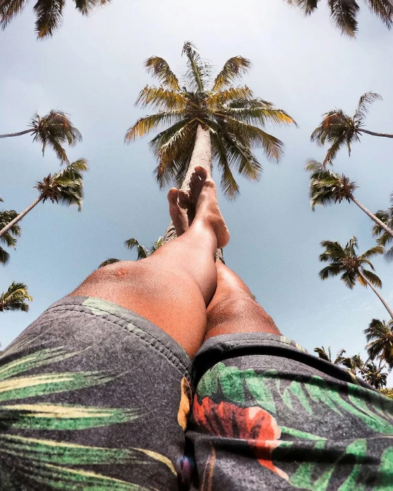 a person is laying on the ground and looking up at a palm tree