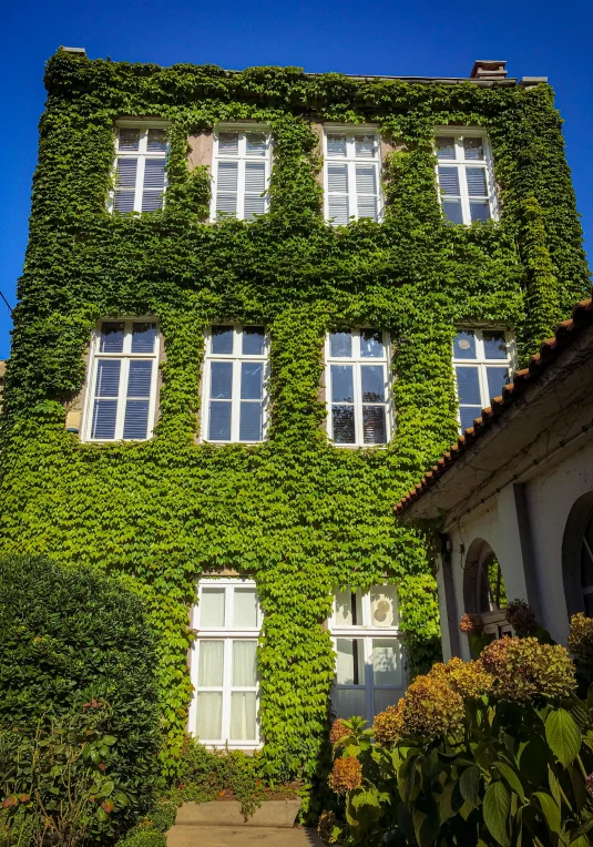 a house with green vines on it's walls and windows