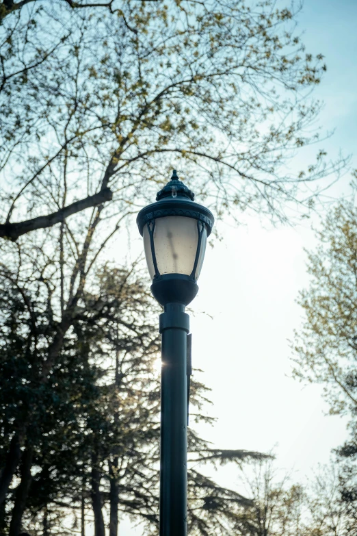 a street light in front of trees and sky