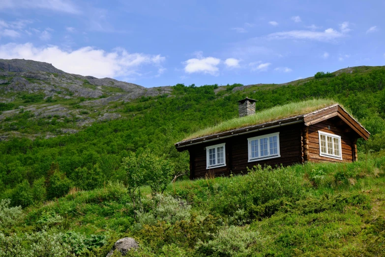 a cabin that is sitting in the grass