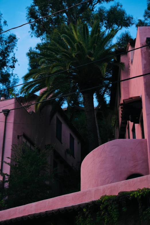 a pink building that has palm trees growing on it