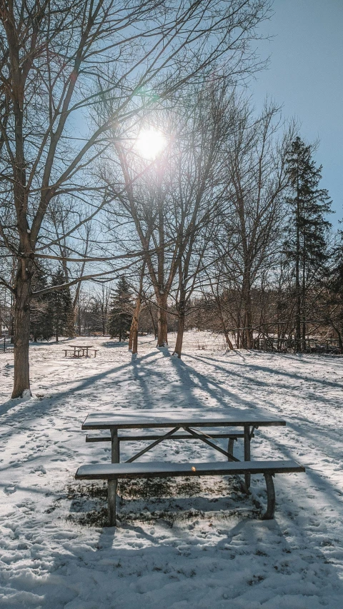 a bench under some trees covered in snow