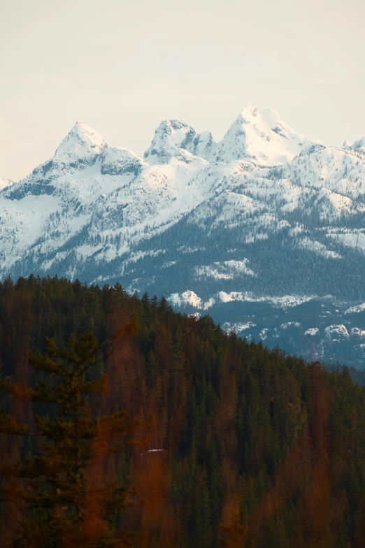 snow covered mountains in the background surrounded by evergreens