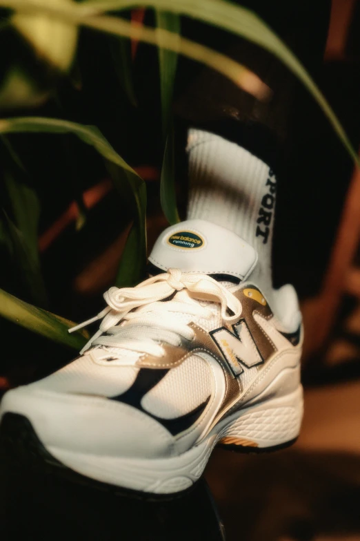 a close up s of a tennis shoe with a plant behind it